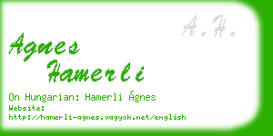 agnes hamerli business card